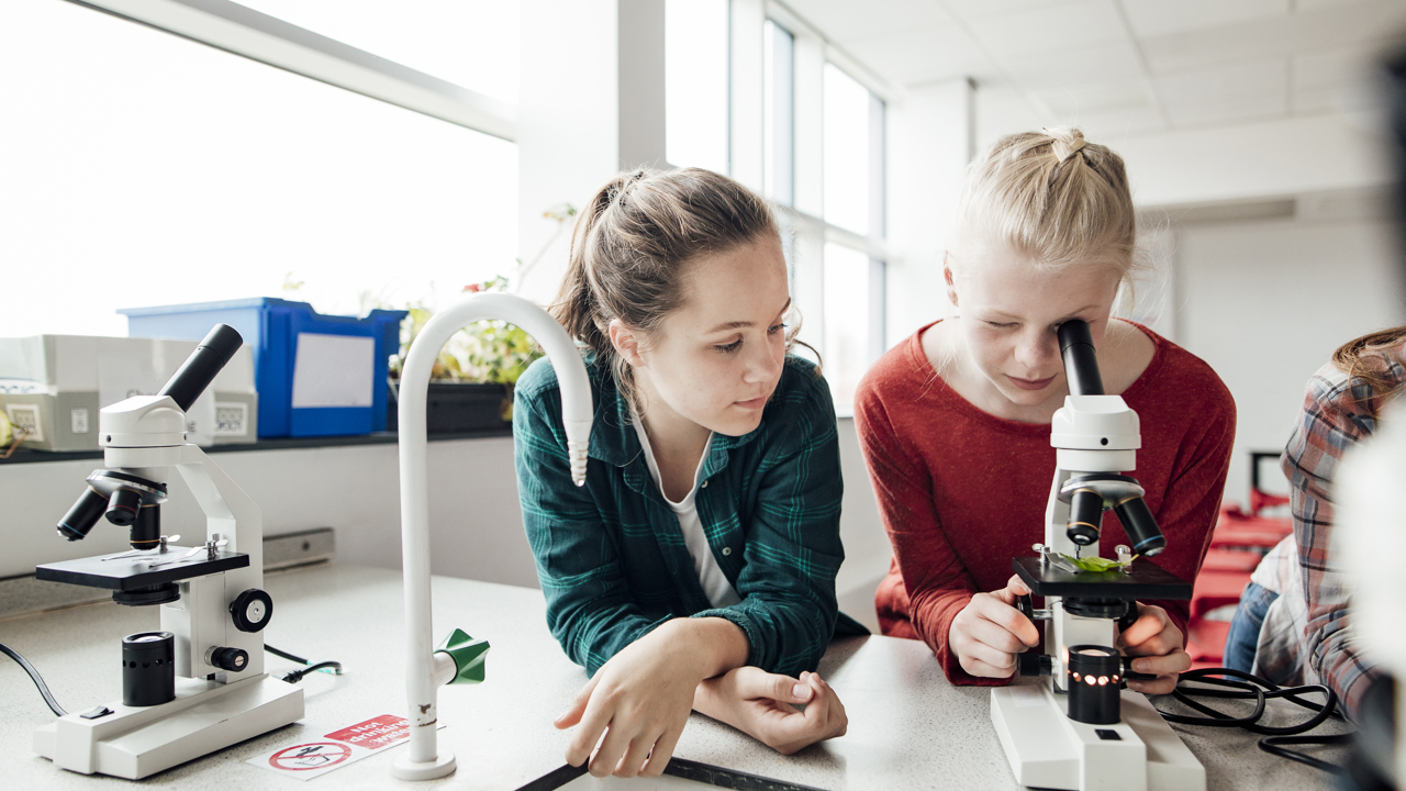 Secondary students using microscope